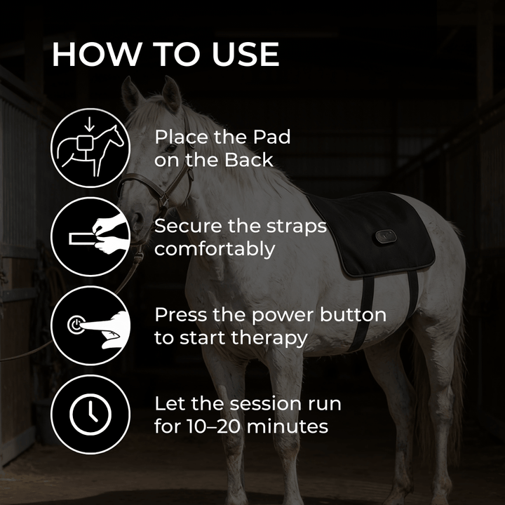 LED Back Wrap for Horses with Red Light Therapy