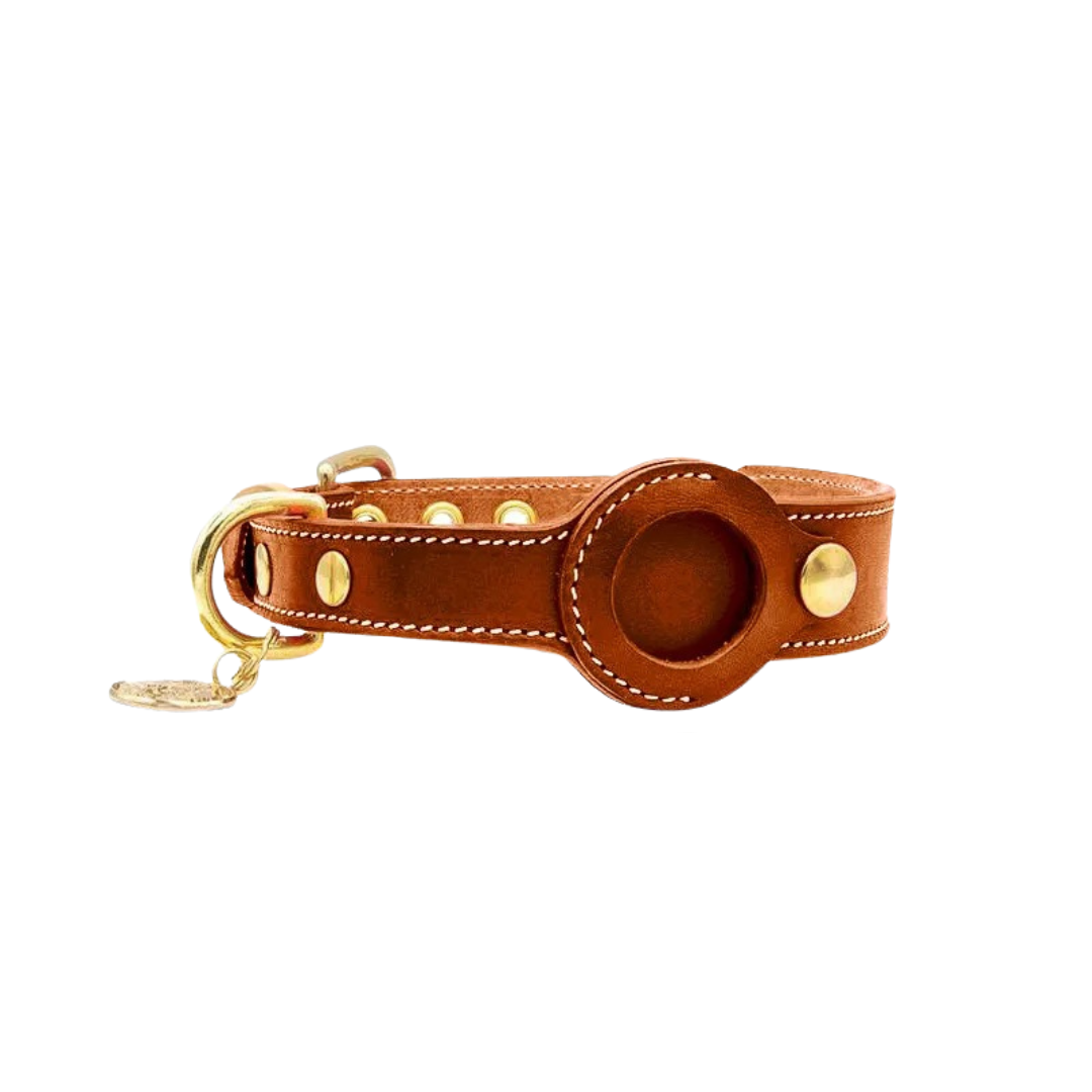 Stylish AirTag Collar for Pets - PurrTrack