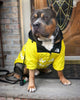 PawDry Waterproof Dog Jacket | Lightweight Windproof Jacket for French Bulldogs, Chihuahuas and More