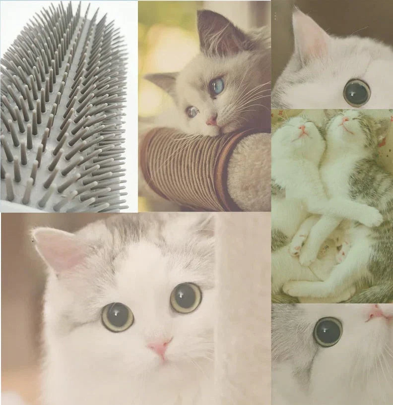 Cat Corner Brush for Self-Grooming - PurrGroom