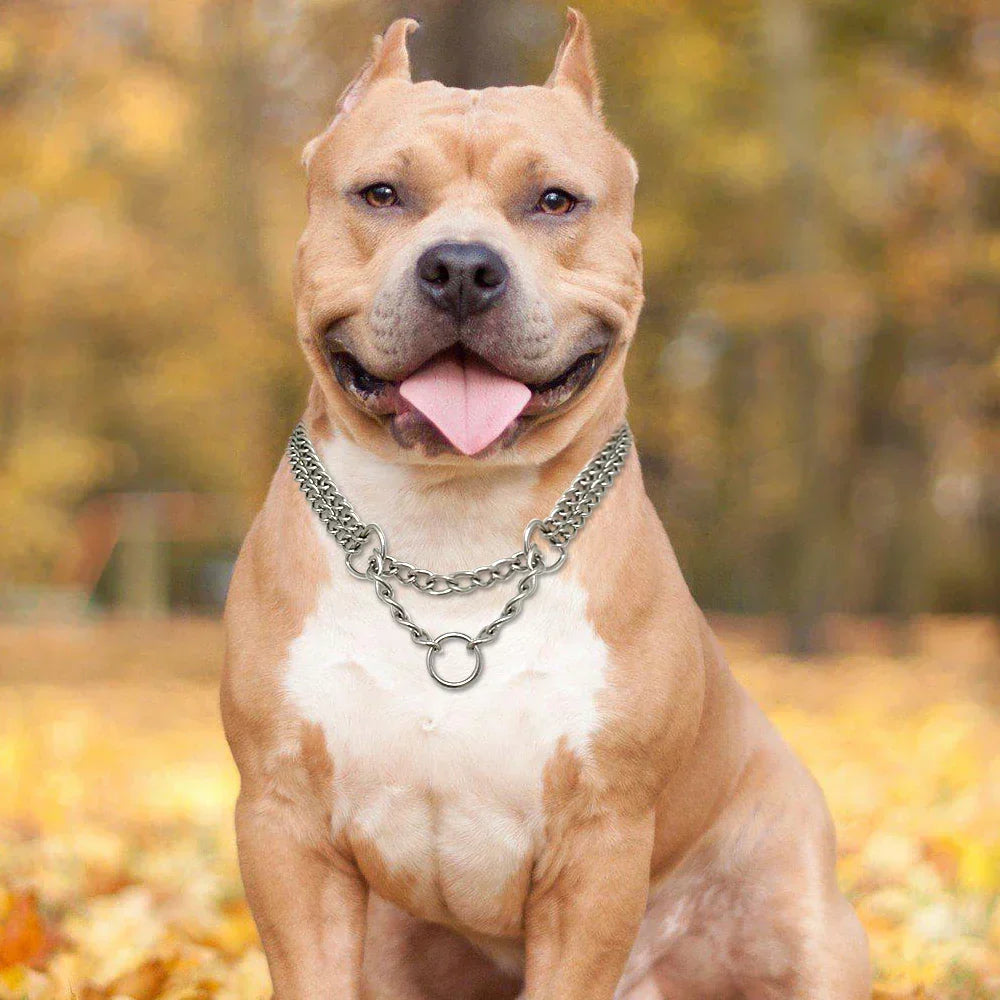Sandsberg Stainless Steel Dog Training Collar