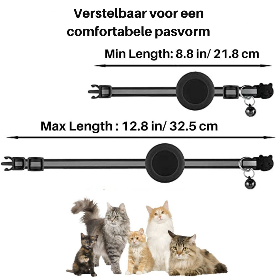 Cat Collar with Safety Buckle - Milo
