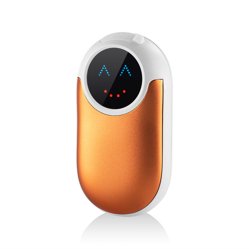 Smart hand warmer and power bank in one with temperature control
