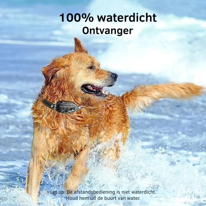 ProTrain – Rechargeable, Waterproof Dog Training Collar