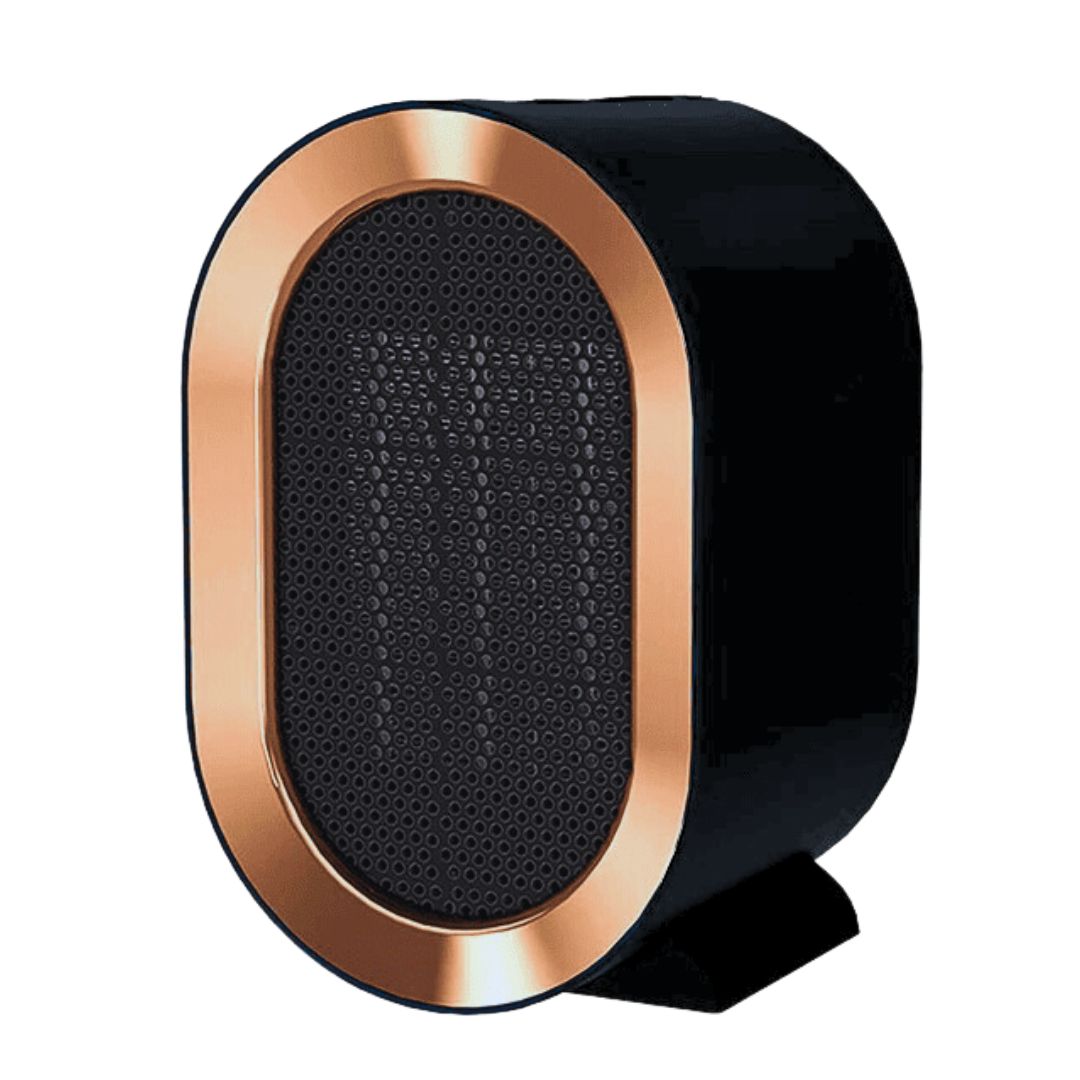 Portable heater that warms up quickly, with overheating protection