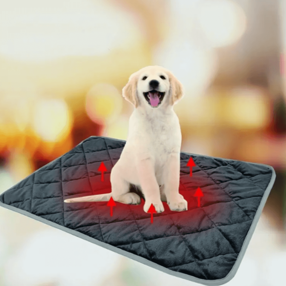 Self-warming pet bed for dogs and cats with non-slip underside