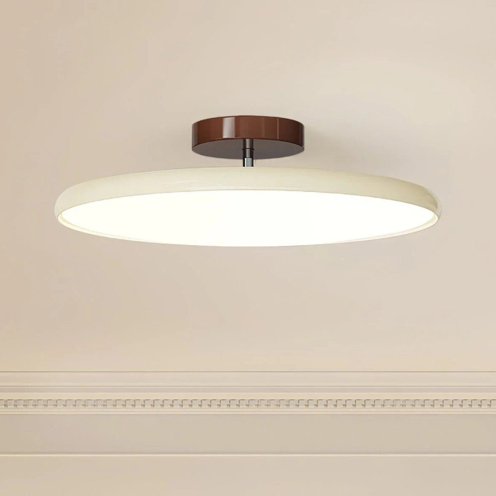 Modern Adjustable LED Ceiling Lamp