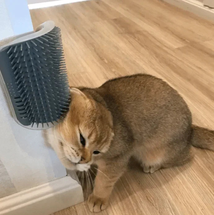 Cat Corner Brush for Self-Grooming - PurrGroom
