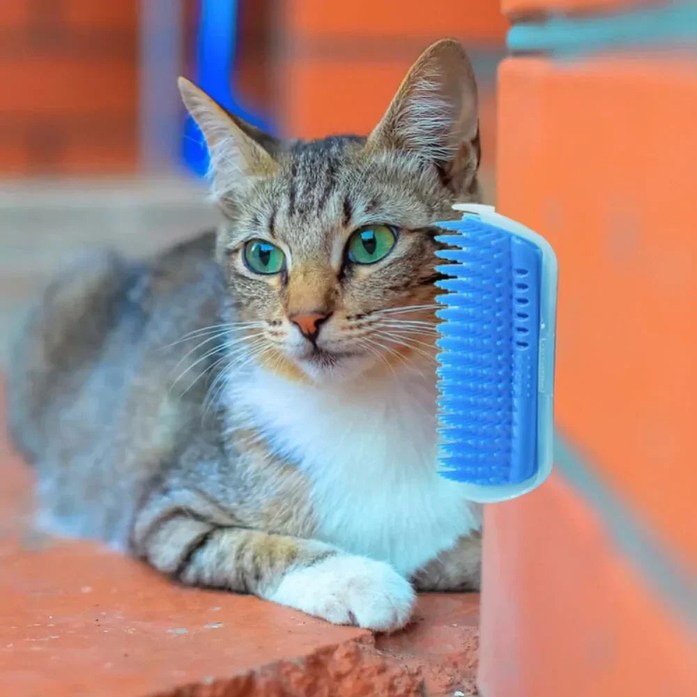 Cat Corner Brush for Self-Grooming - PurrGroom