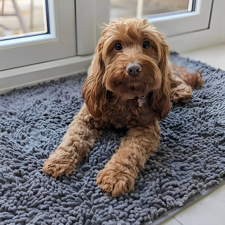 Absorbent non-slip dog door mat for muddy paws