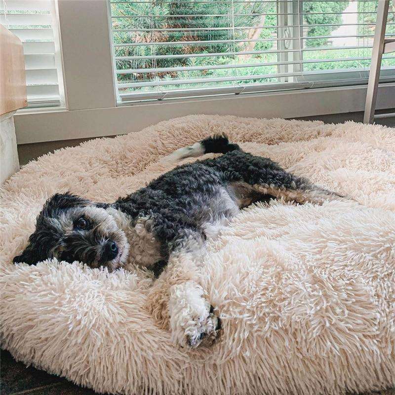 Soothing Anti-Stress Dog Bed – Nuvio
