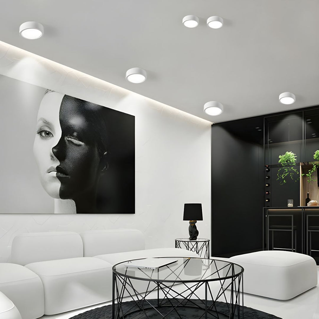 Flush Mount Cylinder LED Ceiling Light with Modern Design and Energy Efficient Lighting