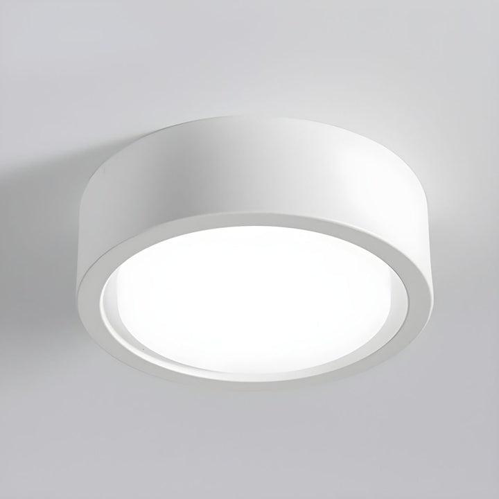 Flush Mount Cylinder LED Ceiling Light with Modern Design and Energy Efficient Lighting