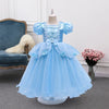 Girls' Halloween Princess Costume and Dresses with Ball Gown Tulle Skirt Dress Up