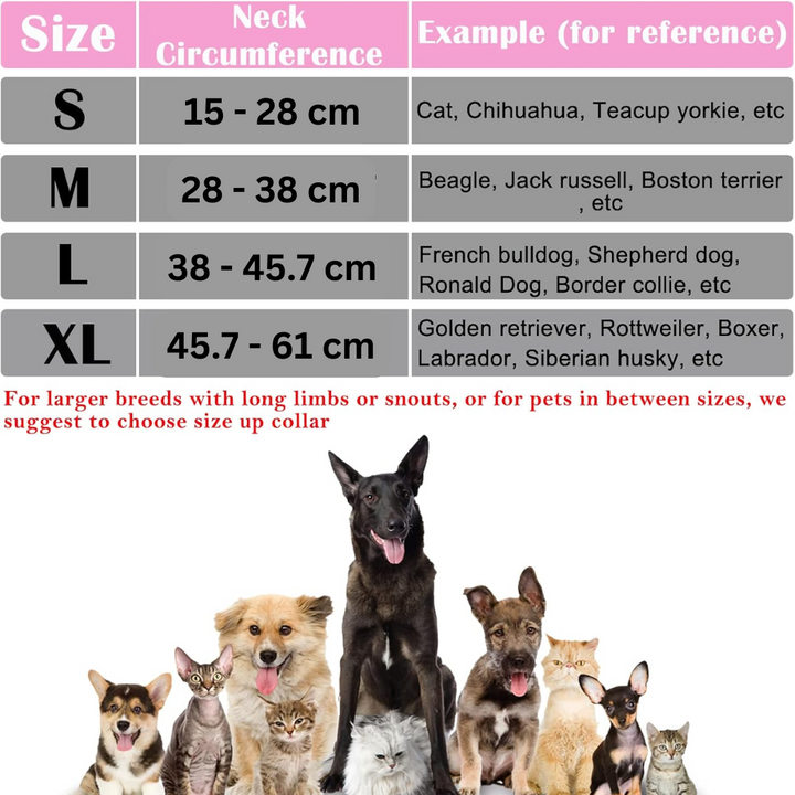 Inflatable Protective Collar for Dogs - Soft, Comfortable Recovery Ring