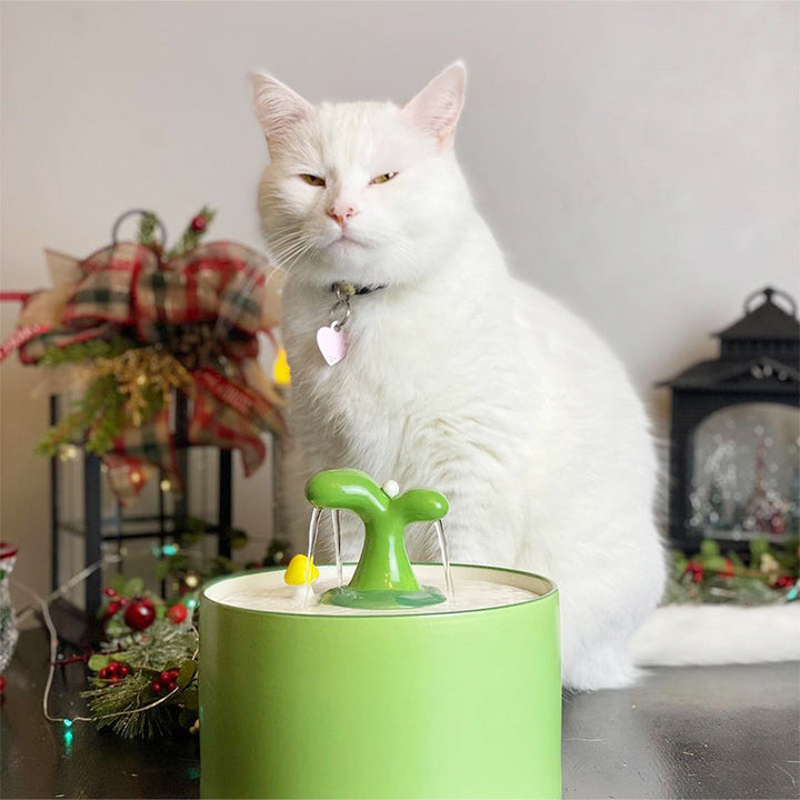 Cat Fountain – SpringFlow