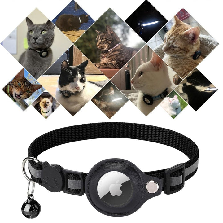 Cat Collar with Safety Buckle - Milo