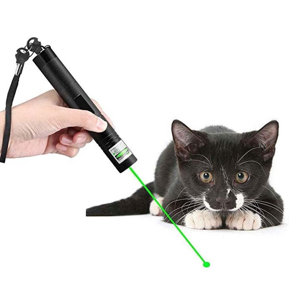 High-Performance Laser Pointer 303 | Powerful Green Beam for Long Distances