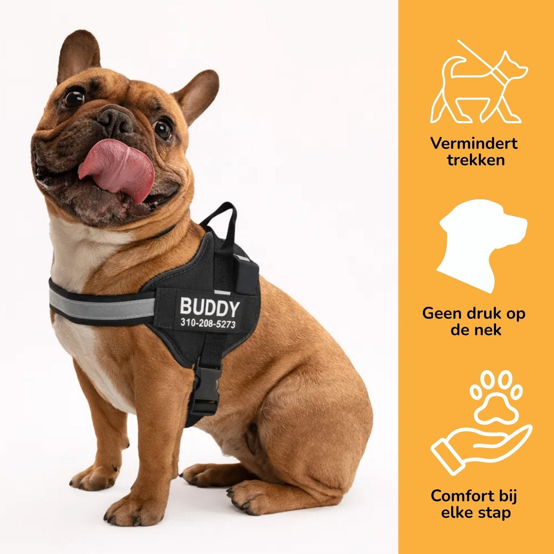 Personalisable Dog Harness – Reflective and Supportive Design