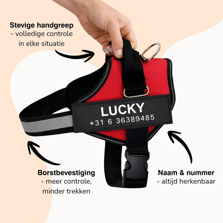 Personalisable Dog Harness – Reflective and Supportive Design
