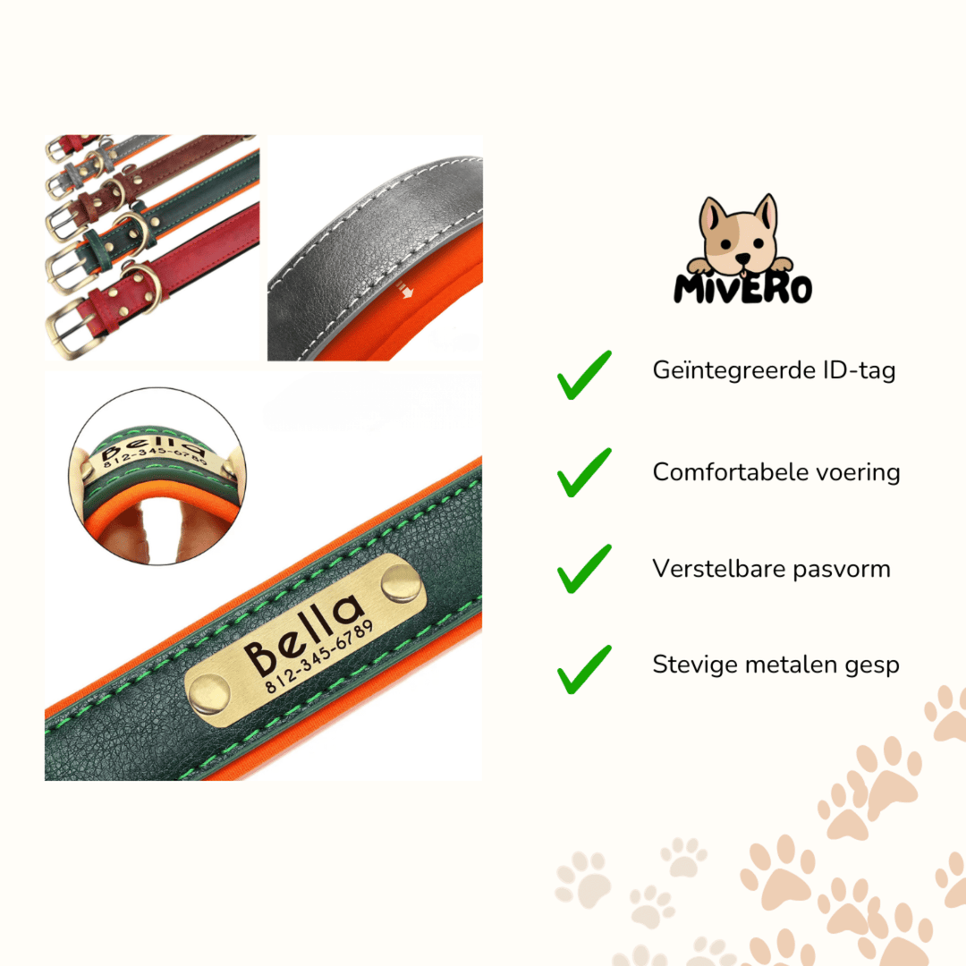 Engraved Leather Dog Collar with Personalised Nameplate