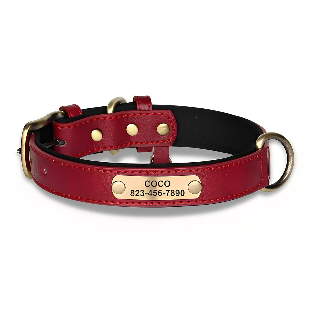 Engraved Leather Dog Collar with Personalised Nameplate