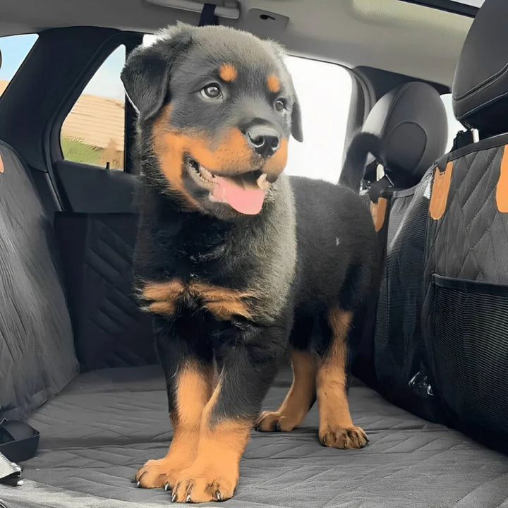 Waterproof Dog Back Seat Extender with Rigid Base and Memory Foam Bed