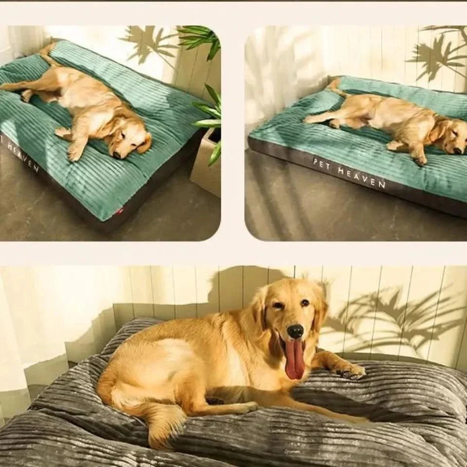 FlauschNest Orthopaedic Dog Bed – Soft and Supportive for Restful Nights