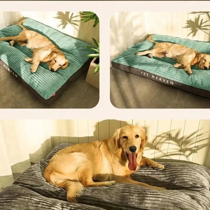 FlauschNest Orthopaedic Dog Bed – Soft and Supportive for Restful Nights