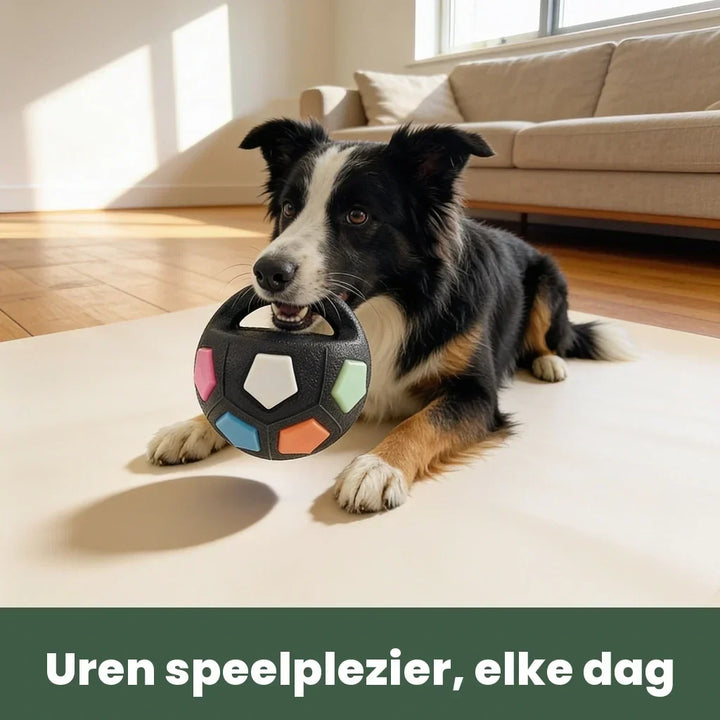 Indestructible dog ball for strong chewers