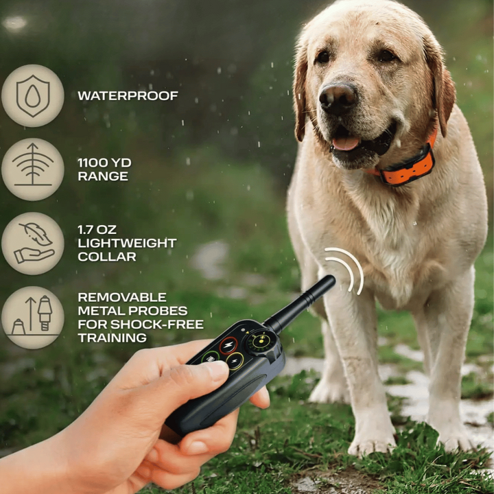 Waterproof Long-Range 1000m Dog Training Collar & Remote Control